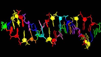 Modelo de DNA artificial de oito ‘letras’.