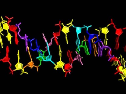 Modelo de DNA artificial de oito ‘letras’.