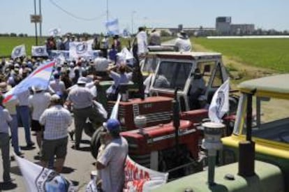 La huelga comercial afectará a todos los productos agropecuarios, con la excepción de los perecederos. EFE/Archivo