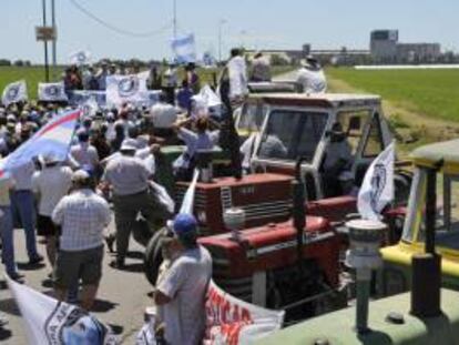 La huelga comercial afectará a todos los productos agropecuarios, con la excepción de los perecederos. EFE/Archivo
