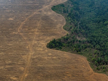 Área da Floresta Amazônica desmatada para o plantio de soja perto de Porto Velho, em 2019.