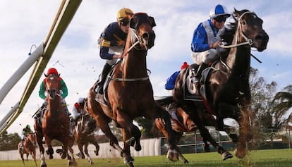 Jinetes y sus caballos participan en una carrera en Canterbury Park, en Sídney (Australia).