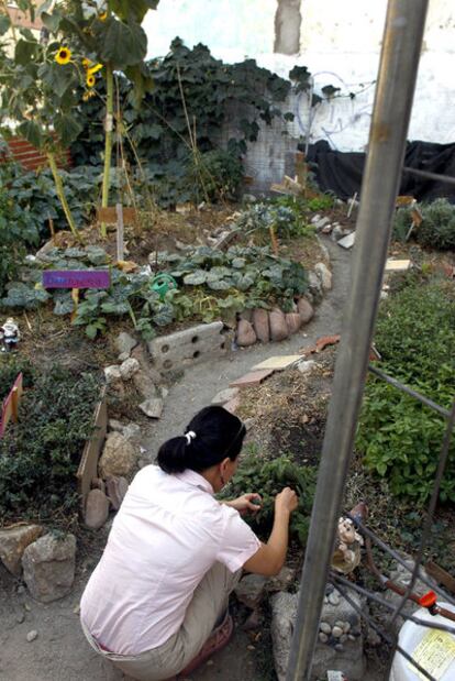 Una mujer cuida de las plantas en uno de los huertos del barrio de Tetuán.