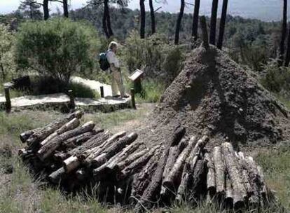 Reconstrucción de una carbonera en el arboreto Luis Ceballos de San Lorenzo de El Escorial.