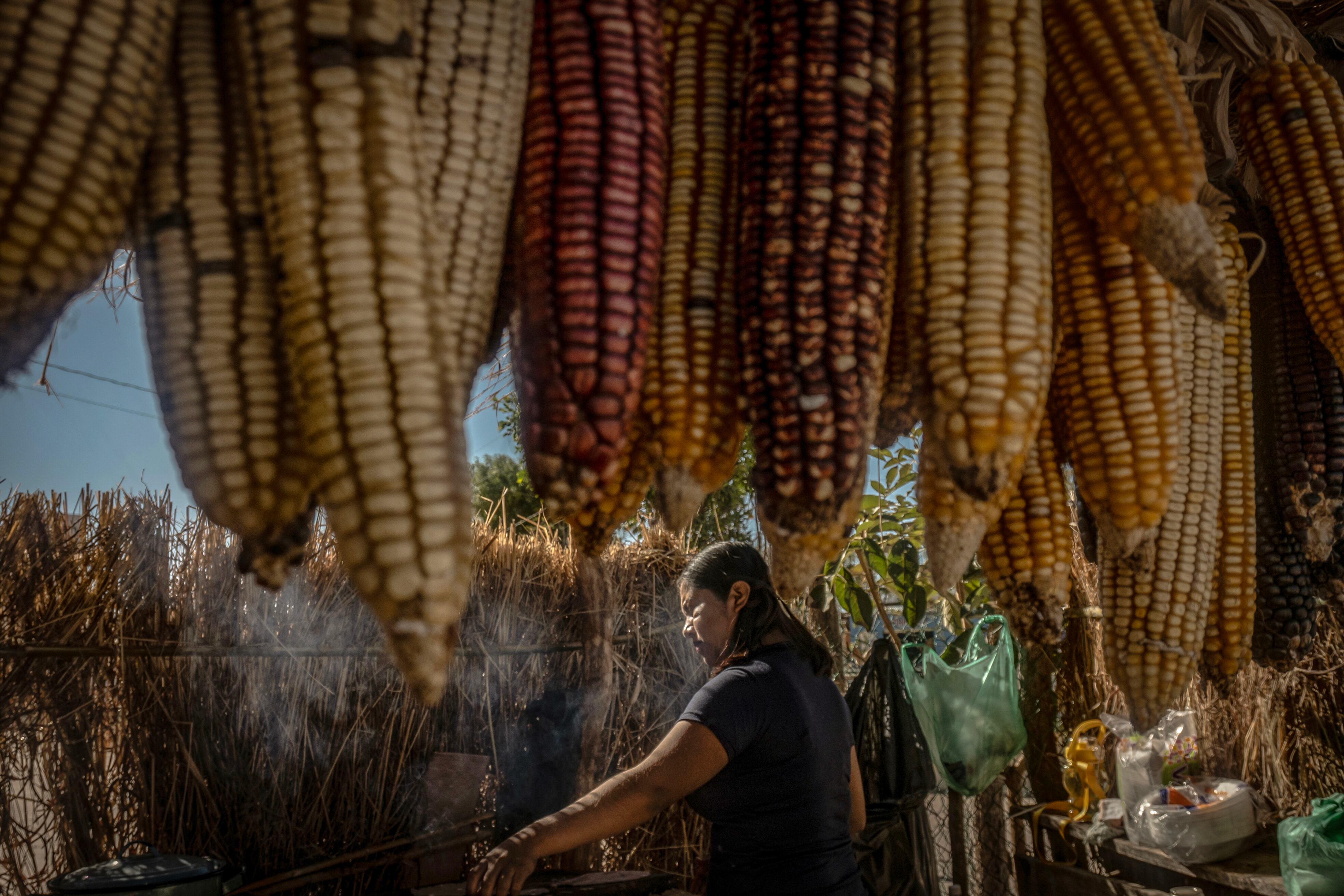 Una mujer wixarikas trabaja con el maíz en la comunidad de El Roble, Nayarit.