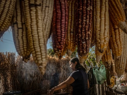 Indígenas wixarikas en la comunidad de El Roble, Nayarit.