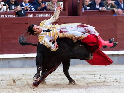 El diestro Alberto López Simón sufre una cogida con su primero durante el vigésimo cuarto festejo de la Feria de San Isidro.