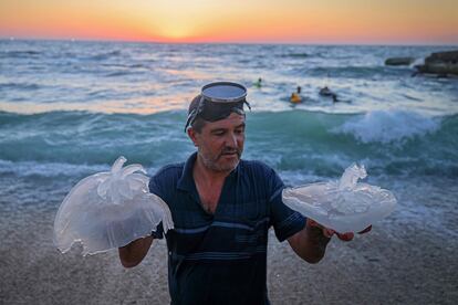 Un hombre palestino sostiene medusas en la playa de la ciudad de Gaza, el jueves.