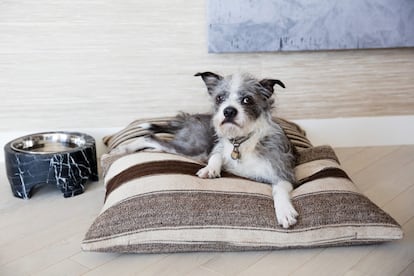 Las comodidades del hotel Proper para perros, en Los Ángeles.