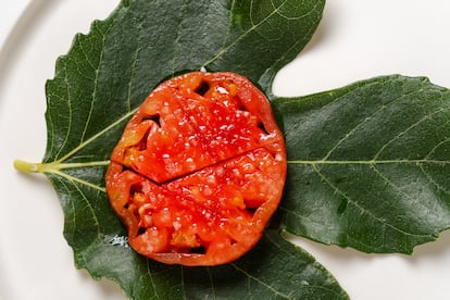 Hoja de higuera cocina