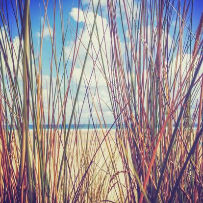 Colores del verano. "Foto realizada con iPhone en un día de relax en la playa, disfrutando del buen tiempo en el norte de España.".