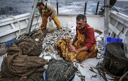 Pescadores separan el plástico de la captura en aguas cercanas a Vila Joiosa (Alicante).