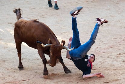 Un mozo resulta volteado durante el espectáculo de vaquillas en la plaza Consistorial, tras el quinto encierro con toros de la ganadería de Victoriano del Río, de Guadalix (Madrid), en los Sanfermines 2019.