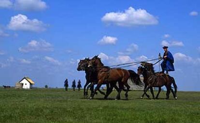 La Puszta, la gran estepa que abarca el 60% de Hungría. Una región "plana como el mar", cantada por los poetas y con una rica tradición indumentaria y en la doma de los caballos nonios.