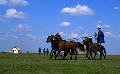 La Puszta, la gran estepa que abarca el 60% de Hungría. Una región "plana como el mar", cantada por los poetas y con una rica tradición indumentaria y en la doma  de los caballos nonios.