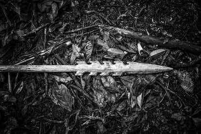 Em plena selva repousa a ponta de uma lança de chonta, fabricada com a dura casca de uma palmeira da região. É a arma tradicional dos índios shuar e é usada tanto para a guerra como nas caçadas; para matar homens e abater animais.