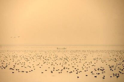 Un bote se desplaza en medio de la niebla en el lago Dal, en Srinagar, la India.