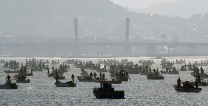 Centenares de embarcaciones en el primer dia de la campaña marisquera de almeja y berberecho en Noia, A Coruña. 