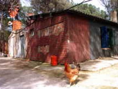 b sin nº (20/abr/00) -recibida por email- INMIGRANTE RUMANO INSTALADO EN UNA GRANJA ABANDONADA EN LLOFRIU (GIRONA). -foto: PERE DURAN.