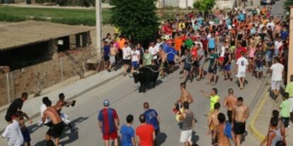 Correbou en Sant Carles de la Ràpita.