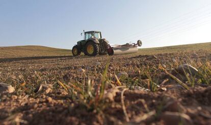 Un tractor trabaja en un campo afectado por la sequía, en Morata de Tajuña (Madrid).