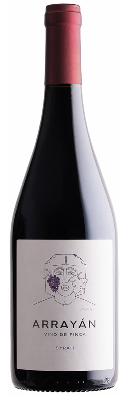 EL PAIS GASTRO VINOS CARLOS DELGADO VINOS SYRAH