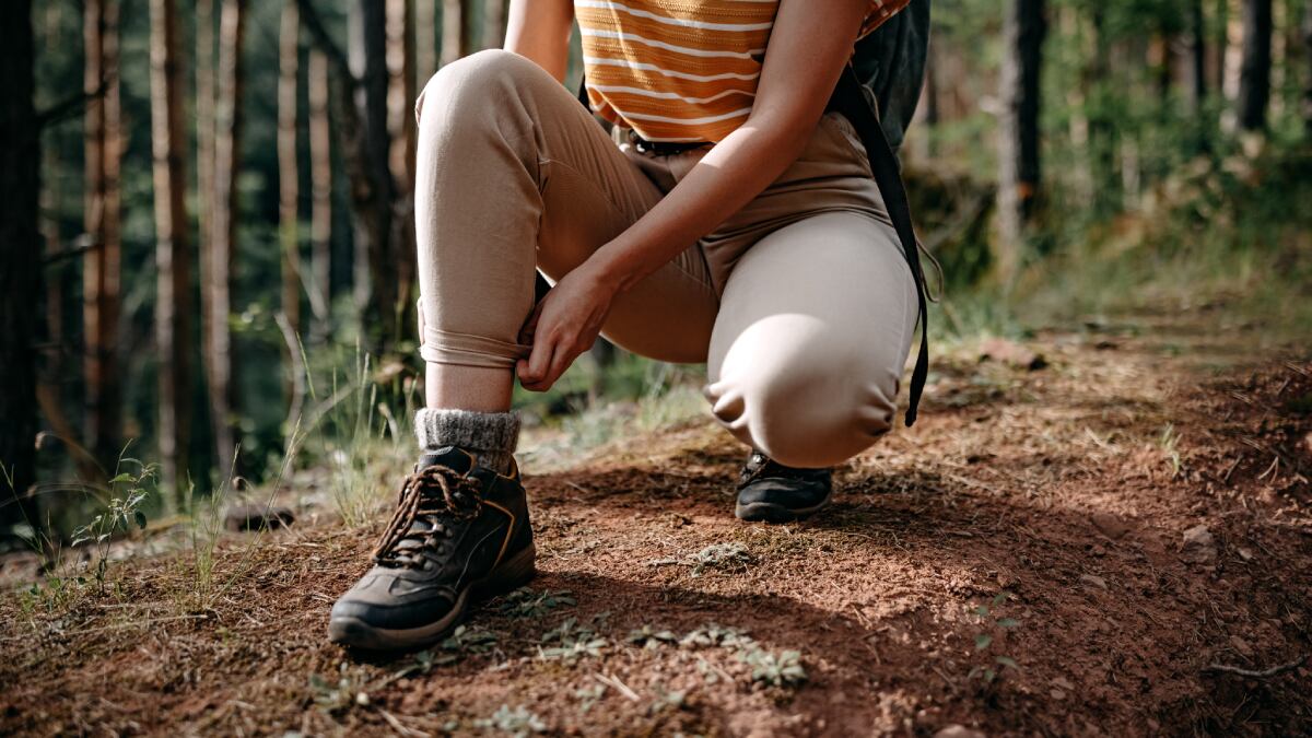 The mountain shoes with best discounts for the first routes of autumn