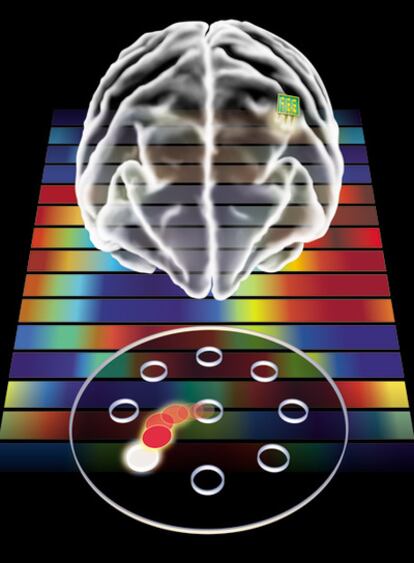 Ilustración del experimento en el que se ha demostrado que el cerebro es capaz de de crear una representación de un cursor, y moverlo como si se tratara de una extremidad propia (ilustración John Blanchard)