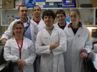 Un equipo de investigadores de Vall d'Hebron ha descubierto una proteína responsable de la resistencia a los tratamientos de quimioterapia, a base de irinotecán, contra el cáncer de colon.