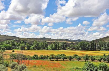 Esta vía verde discurre junto al río Tajuña, en el sureste de la Comunidad de Madrid, por un paisaje de vegas suave y fértil, entre viñedos, olivos, almendros y maizales. El camino, que se identifica fácilmente gracias a su firme de color rojo, tiene una longitud de 49 kilómetros, entre Arganda del Rey y Ambite. El descenso hasta Morata de Tajuña regala una de las mejores vistas del valle. En el camino se encuentran el Museo del Ferrocarril de Arganda, los restos del castillo de Perales, cuevas trogloditas y el palacio barroco de Ambite, del siglo XVII. Dos tramos del antiguo ferrocarril minero atraviesan el casco urbano de Arganda, accesible en metro (línea 9) desde Madrid capital.