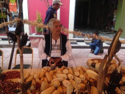 La campesina María Celerina Paula Tzoni Solís.