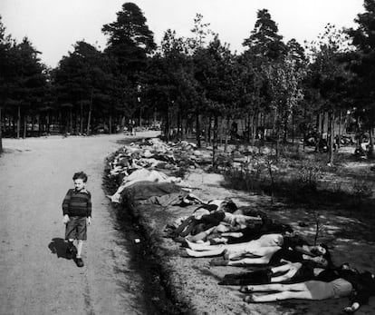 Un niño camina junto a los muertos del campo de exterminio de Bergen-Belsen, Alemania, 1945.