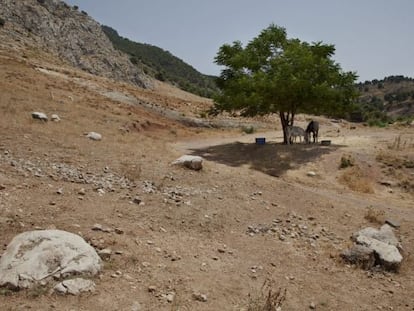 Una de las ubicaciones donde se busc&oacute; la fosa de Lorca.