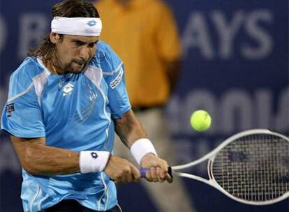 David Ferrer