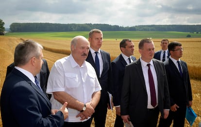 Aleksandr Lukashenko, de camisa branca, em visita a uma empresa agrícola no distrito de Nesvizh, em 27 de julho.