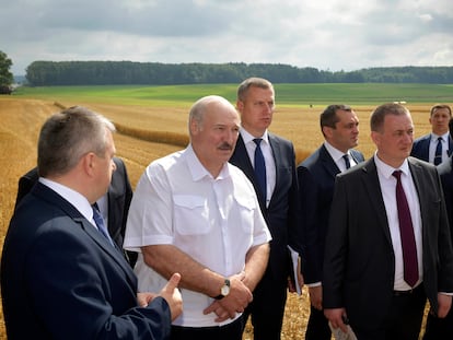 Aleksandr Lukashenko, de camisa branca, em visita a uma empresa agrícola no distrito de Nesvizh, em 27 de julho.