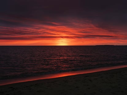 Sol de sangre en Cow Bay. La salida del sol parece ejercer de trágica metáfora en la playa donde se echa a nadar de noche Chrissie antes de ser atacada y devorada por el tiburón que merodea por la ficticia Amity.