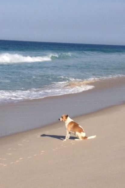 Victoria, en la playa.