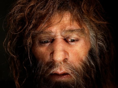 Un neandertal según la interpretación del Museo Neandertal de Krapina (Croacia).