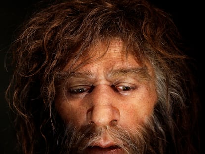 Un neandertal según la interpretación del Museo Neandertal de Krapina (Croacia).