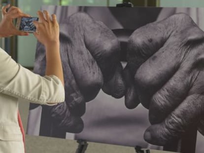 Imagen de la exposición sobre artritis reumatoide en el Museo del Traje. (Cedida por los organizadores)