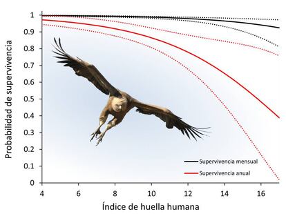 Gráfico que relaciona la huella humana con la probabilidad de supervivencia de los buitres.