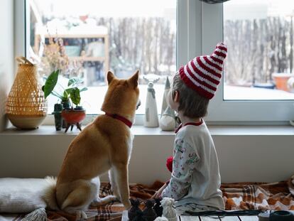 Los juegos en Navidad del niño con su perro no deben estar exentos de responsabilidad para que se trate de una actividad segura, lúdica y satisfactoria para ambos.