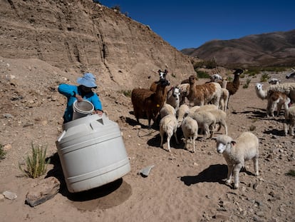 Una mujer extrae agua para sus animales, en la provincia de Jujuy (Argentina), en 2023.