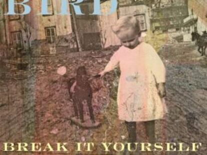 Andrew Bird, 'Break it yourself'