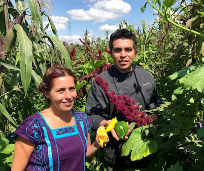 MARÍA FERNÁNDEZ Y ROBERTO RUIZ. EN SUS MANOS, RESPECTIVAMENTE, FLOR DE CHILACAYOTE, CHILE DE AGUA Y CHILE POBLANO. ENTRE AMBOS UN TALLO DE AMARANTO / CAPEL