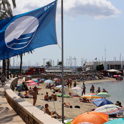 España ha incrementado las banderas azules que ondearán este año en sus playas, hasta 627, seis más que en 2022, lo que le permite seguir liderando esta clasificación mundial que reconoce la excelencia de las aguas, la seguridad de los bañistas y los servicios playeros. La Asociación de Educación Ambiental y del Consumidor, promotora de la iniciativa, resaltó que el 15% de las playas  de todo el mundo que tienen este distintivo están en España.