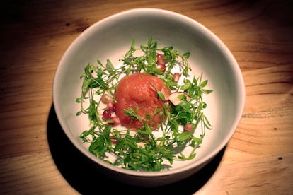 Tomate escabechado con ensalada de morujas, granada y rabanito.