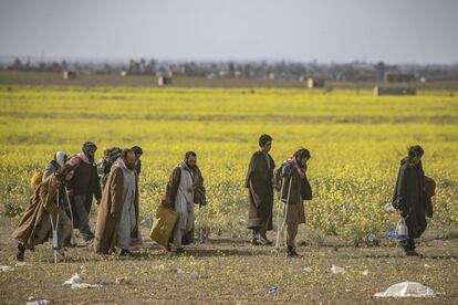 Suspeitos de pertencer ao Estado Islâmico vão a pé até o ponto de registro controlado pelas milícias curdas na província de Deir Ezzor, depois de deixar Baghuz em 5 de março. As Forças Democráticas da Síria garantiram nesta terça-feira, 12 de março, que mataram 38 militantes do Estado Islâmico.