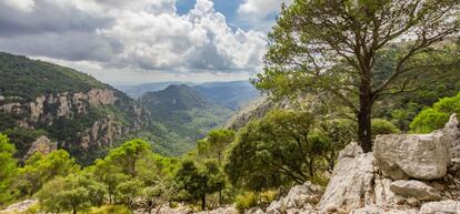 Sierra de Tramontana, en Palma de Mallorca. 